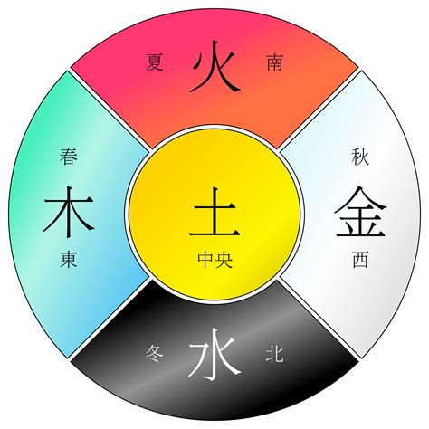 五行木代表|木的五行特性